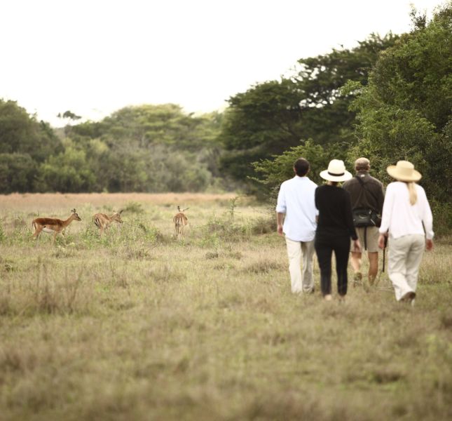 Phinda Forest Walking1